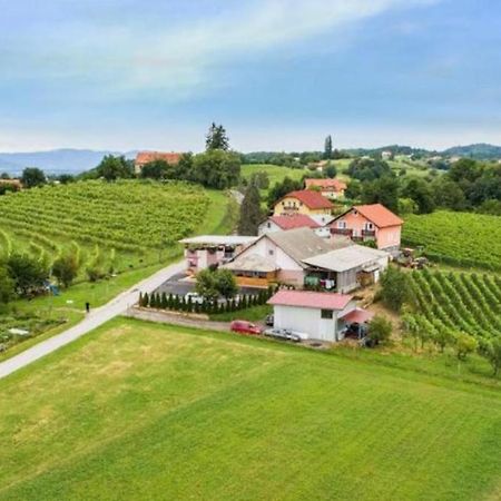 Guesthouse Prenocisca Sirec Ptuj Zewnętrze zdjęcie