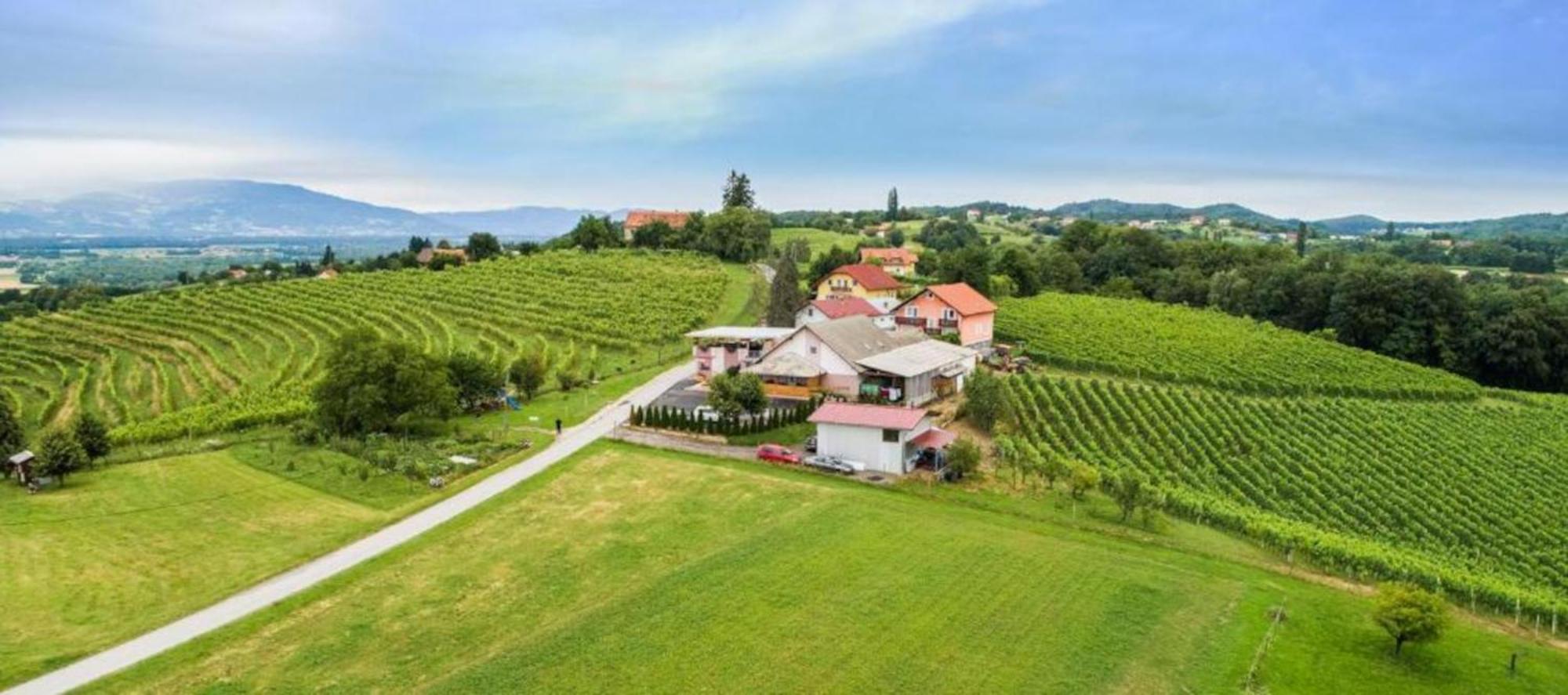 Guesthouse Prenocisca Sirec Ptuj Zewnętrze zdjęcie